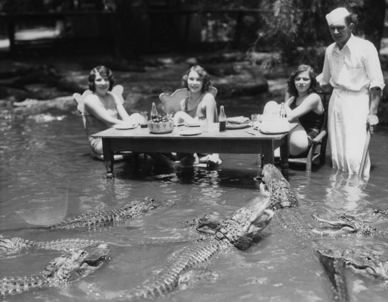 alligator_farm_07