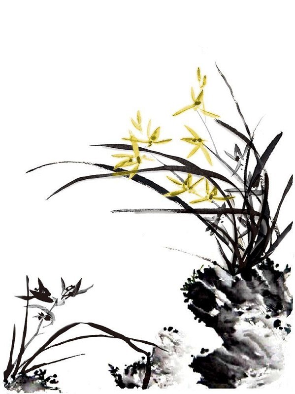 meilanzhuju14