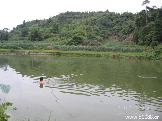 钓鱼牛人