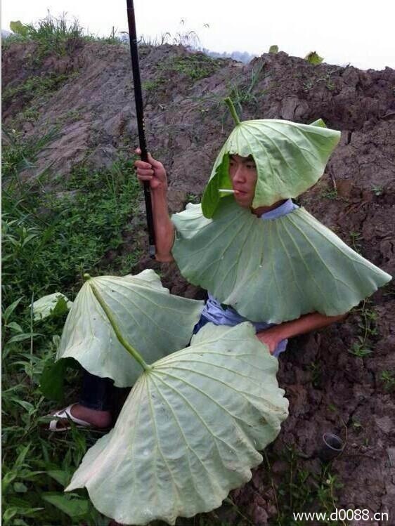 钓鱼牛人