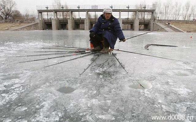 钓鱼牛人