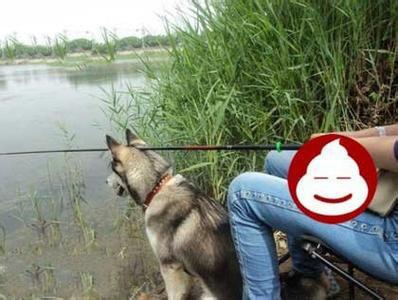 钓鱼牛人