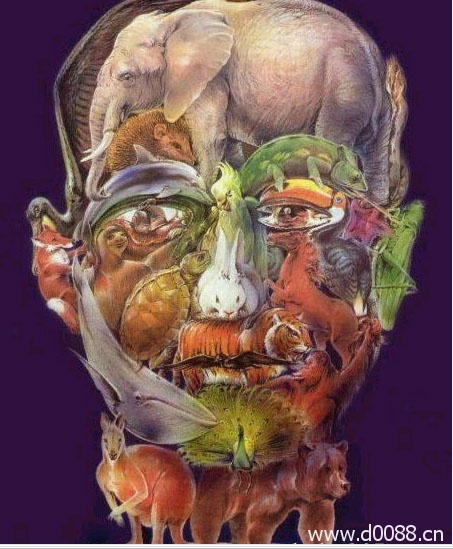 神奇画中画图片