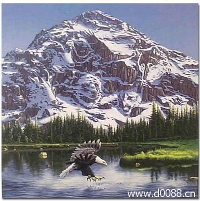 神奇画中画图片