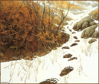 神奇画中画图片