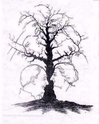神奇画中画图片