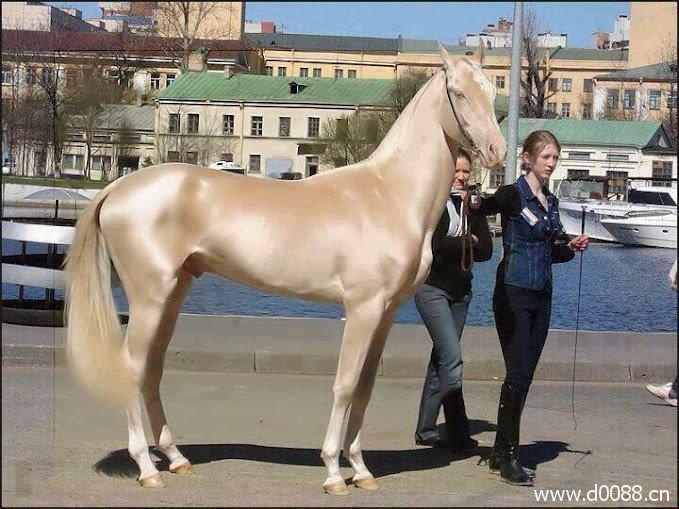 lingleideyishou43