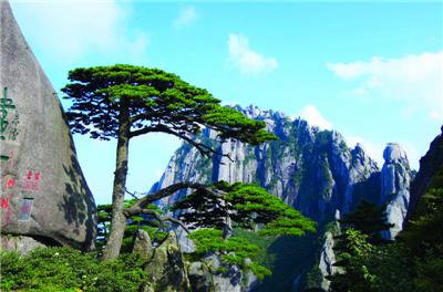 中国十大名山