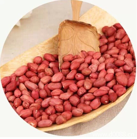 shoumingguo3