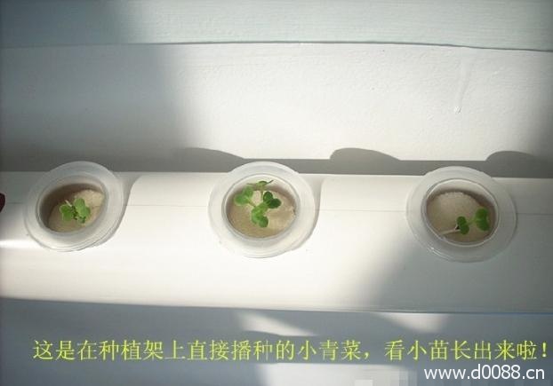 zhongcai16
