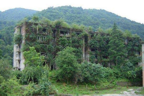 bingtaimei1
