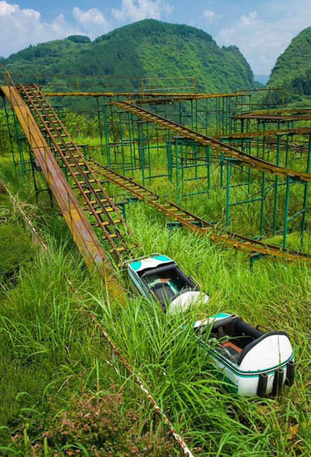 bingtaimei15