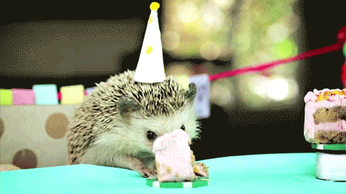 animal-birthdays1