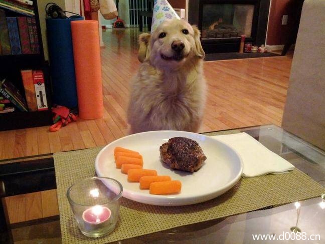 animal-birthdays10