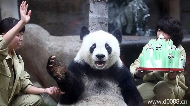animal-birthdays3