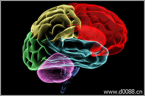 brain-effects2