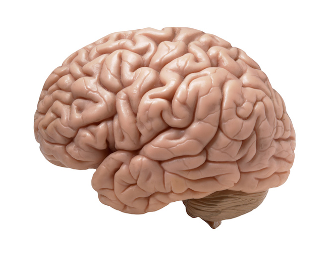 brain-effects5