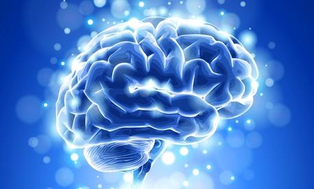 brain-effects9