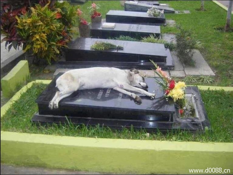 heartbreaking3