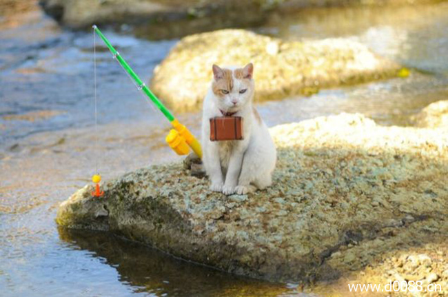 twocat14
