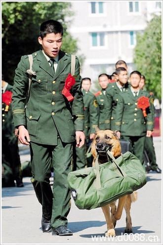 baohuxiaogou26
